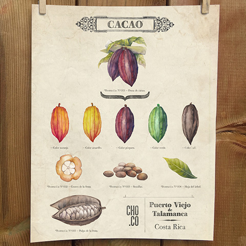 Afiche chocolate Costa Rica